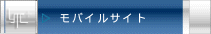 ���o�C���T�C�g